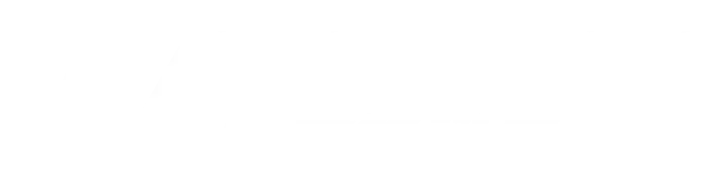 VisaWang 印度簽證王